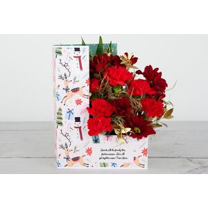 www.flowercard.co.uk Festive Scenes (Festive Scenes)