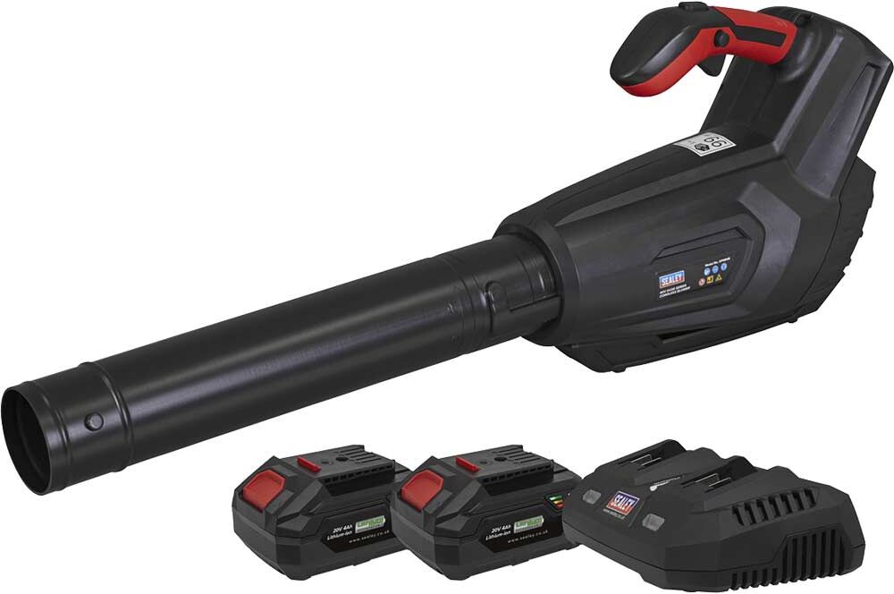 DeWalt Sealey CP40VB Twin 20v Cordless Leaf Blower 2 x 4ah Li-ion Battery Charger