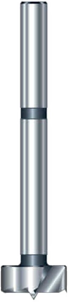 DeWalt Trend WS Long Series Saw Tooth Forstner Drill Bit 7/8" 1/2"