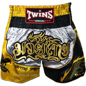 Twins Special TBS-DR1 Twins Silver-Gold Dragon Muaythai Shorts - Silver