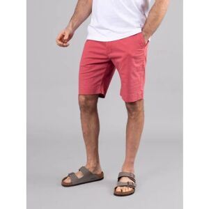 Lakeland Leather Fynn Cotton Shorts in Coral - Pink