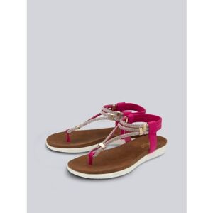 Lotus Chica Sandals in Pink - Pink