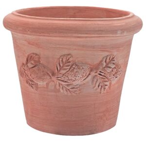 Gardenesque Sorrento Large Citrus   Terracotta Pot