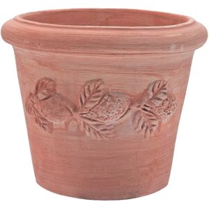 Gardenesque Sorrento Large Citrus   Terracotta Pot