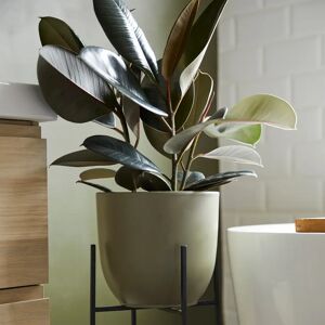 Gardenesque Matt Green Ceramic Indoor Plant Pot - W17xH16cm