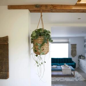 Gardenesque Hanging Seagrass Indoor Plant Pot   W30 x H30cm