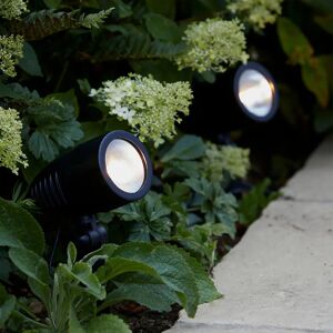 Gardenesque LED Stakes   Solar Light