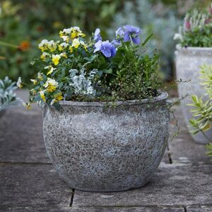 Gardenesque Mediterranean Garden Plant Pot Bowl - W18 x H14cm