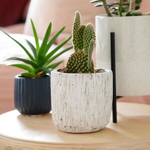 Gardenesque Concrete Indoor Plant Pot - Set Of 2 - W10 X H10 Cm