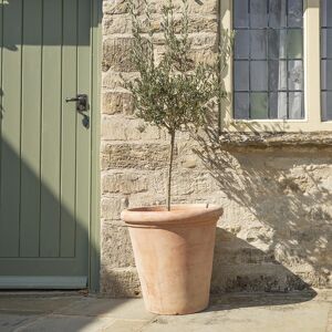 Gardenesque Frostproof XXL Terracotta Pot   W50cm X H49cm   Planting Trees and Large Plants