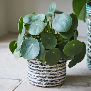 Gardenesque 2x Denim & Natural Stripes Seagrass Basket Indoor Plant Pot   W12 x H12cm