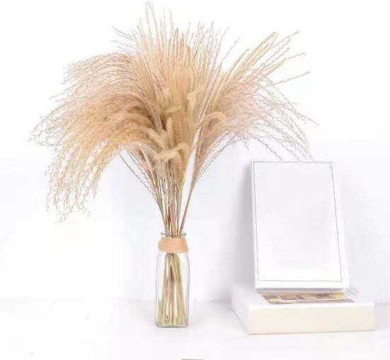 Bluelans flower decoration Practical Dry Reed Bouquet Vivid Multipurpose Ornamental