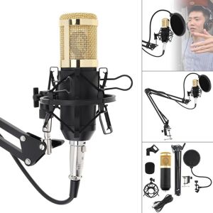 Consumer electronic products BM 800 Professional Condenser Microphone with Stand Arm and Pop Filter for Studio / Recording