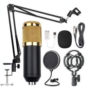 HOD Health&Home Handheld Studio Microphones Bm800 Condenser Set