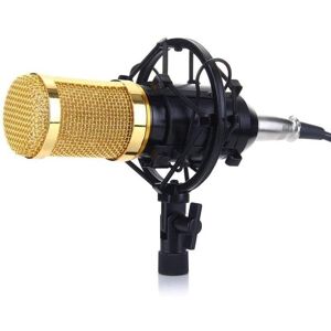 HOD Health&Home Microphones Condenser Set Bm 800 With Adjustable Suspension Scissors Arm Shock Absorbing Bracket And Double Layer Popular Filter Suitable For Studio R