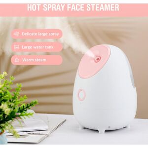 She Beauty & Hairdressing Electrical Facial Steamer Skin Care Face SPA Professional Warm Mist Steam Facial Sauna beauty Steam Cleaner Nebulizer