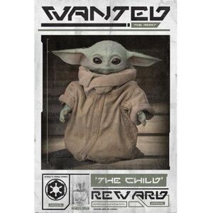 Star Wars The Mandalorian Wanted The Child 228 Poster