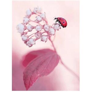 FIYO Diamond painting product Full Drill Cross Stitch Home Decor Diamond Coccinella Flower Picture Embroidery Painting