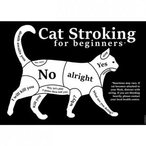 Grindstore Cat Stroking For Beginners Mini Poster