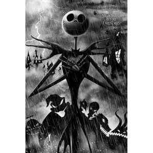 Nightmare Before Christmas Storm Poster