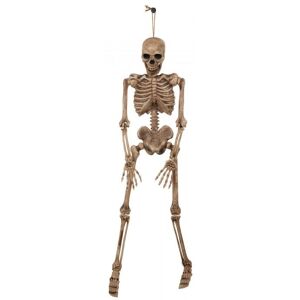 Bristol Novelty Hanging Complete Skeleton Prop