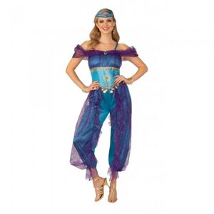 Bristol Novelty Womens / Ladies Genie Costume