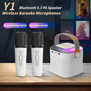 YJMP Y1  Portable Wireless Dual Microphone Karaoke Machine Bluetooth 5.3 PA Speaker KTV DSP System HIFI Stereo Sound Home Family Singing Mic RGB LED Lights