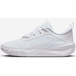 Nike Omni Multi-Court Grade School, DM9027-1010095047