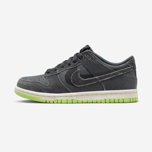 Nike Dunk Low SE Boy Grade, DQ6215-1020095009