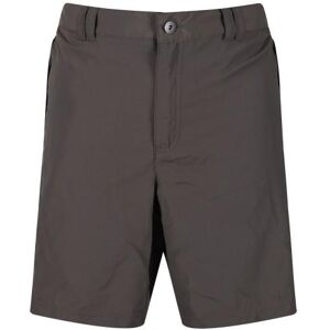 Regatta Mens Leesville II Walking Shorts