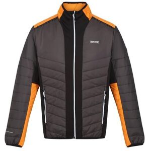 Regatta Mens Halton VII Contrast Panel Baffled Padded Jacket