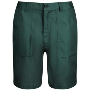 Regatta Mens New Action Shorts