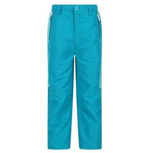 Regatta Childrens/Kids Sorcer V Mountain Trousers