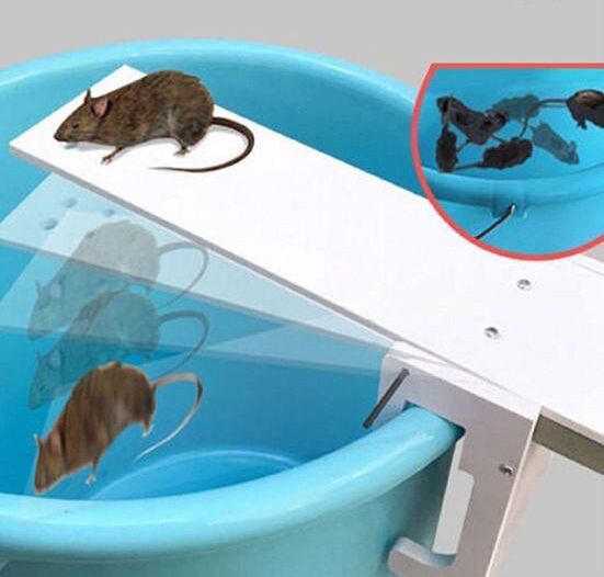 HOMEKA Mice Pest Rodent Mouse Seesaw Traps Walk Plank Mousetrap Bait Catcher Tool