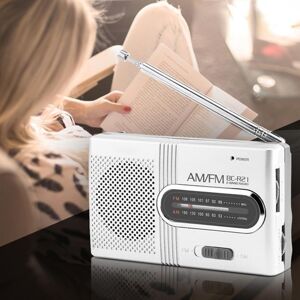 Levi market Multipurpose Portable AM/FM Mini Radio Universal Stereo Speakers Receiver Music Player