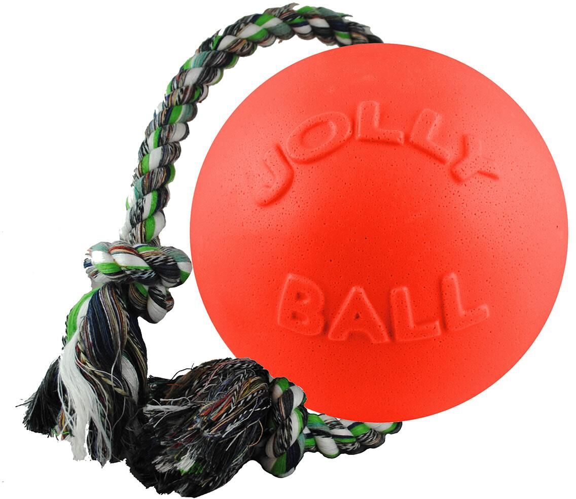 Jolly Pets Romp-N-Roll Dog Ball