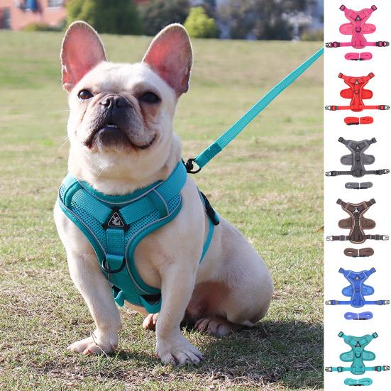 Pets Home Nice-looking Pet Leashes Set Reflective Stripes Good Elasticity Flexible