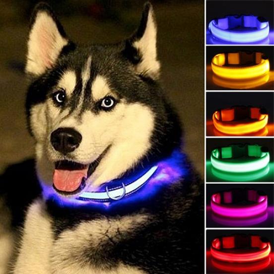 Pets Home Puppy Dog Cat Night Safety Flashing  Luminous LED Light Adjustable Pet Collar