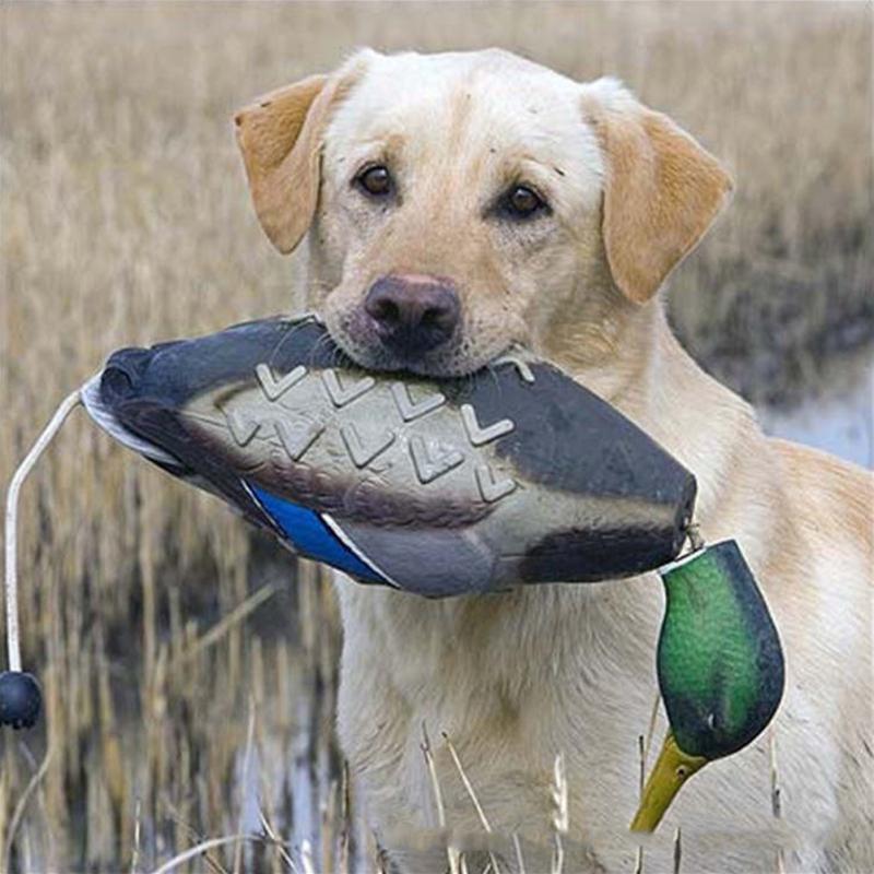 songyeYYDS99 Mimics Dead Duck Bumper Toy For Training Puppies Or Hunting Dogs Teaches Mallard Waterfowl Game Retrieval