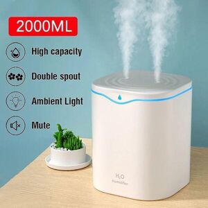 Molly Show 2000ml USB Double/Single Spray Humidifier Household Large Capacity Humidifier Air Humidifier Essential Oil Diffuser Mist Generator