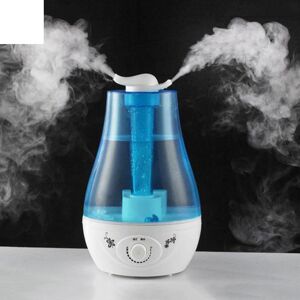 CoCo Global Purchase Ultrasonic Anion Air Humidifier Home Two-way Aromatherapy Diffuser Ultra Silent Humidification 220V