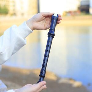 Baoshang with Cleaning Stick Clarinet Beginner 8 Hole G Key Flute Whistle Flute Plastic Recorder Long Flute