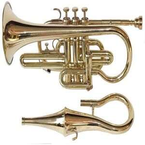 ROYAL HANDICRAFT Musical Bb Flat Brass Finish Echo Cornet With Free Case Box Mouthpiece