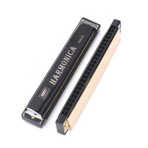 fuitfulla 1PC Portable  Harmonica Mouth Organ Double Row Blues Universal 24 Hole Key of C Play Harmonica Tremolo