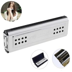 Musical 3 Professional 24 Holes Key Of C&G Silver Double-side Tremolo Harmonica for Beginners