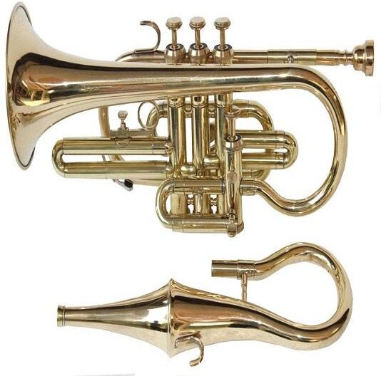 ROYAL HANDICRAFT Musical Bb Flat Brass Finish Echo Cornet With Free Case Box Mouthpiece