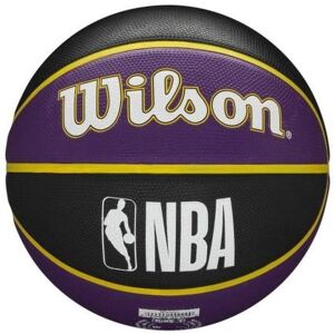 Wilson NBA Team Tribute Basketball