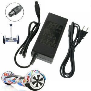 BYEE Electronics 42V 2A Ebike Balancing E-Scooter Hoverboard Charger for 36V Battery Charger