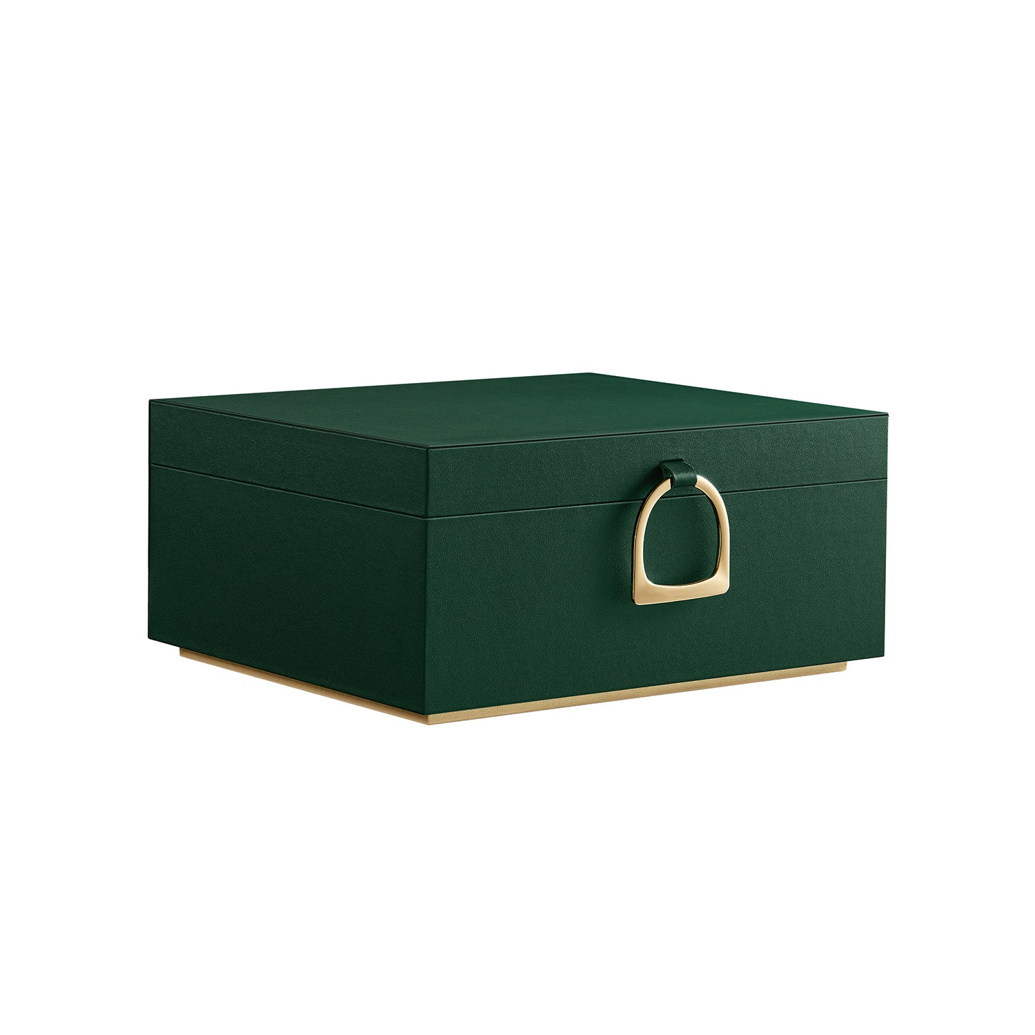 SONGMICS 2-Layer Jewellery Box with Handle White, Forest Green