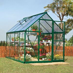 6'x6' Palram Canopia Hybrid Small Green Polycarbonate Greenhouse (1.8x1.8m)
